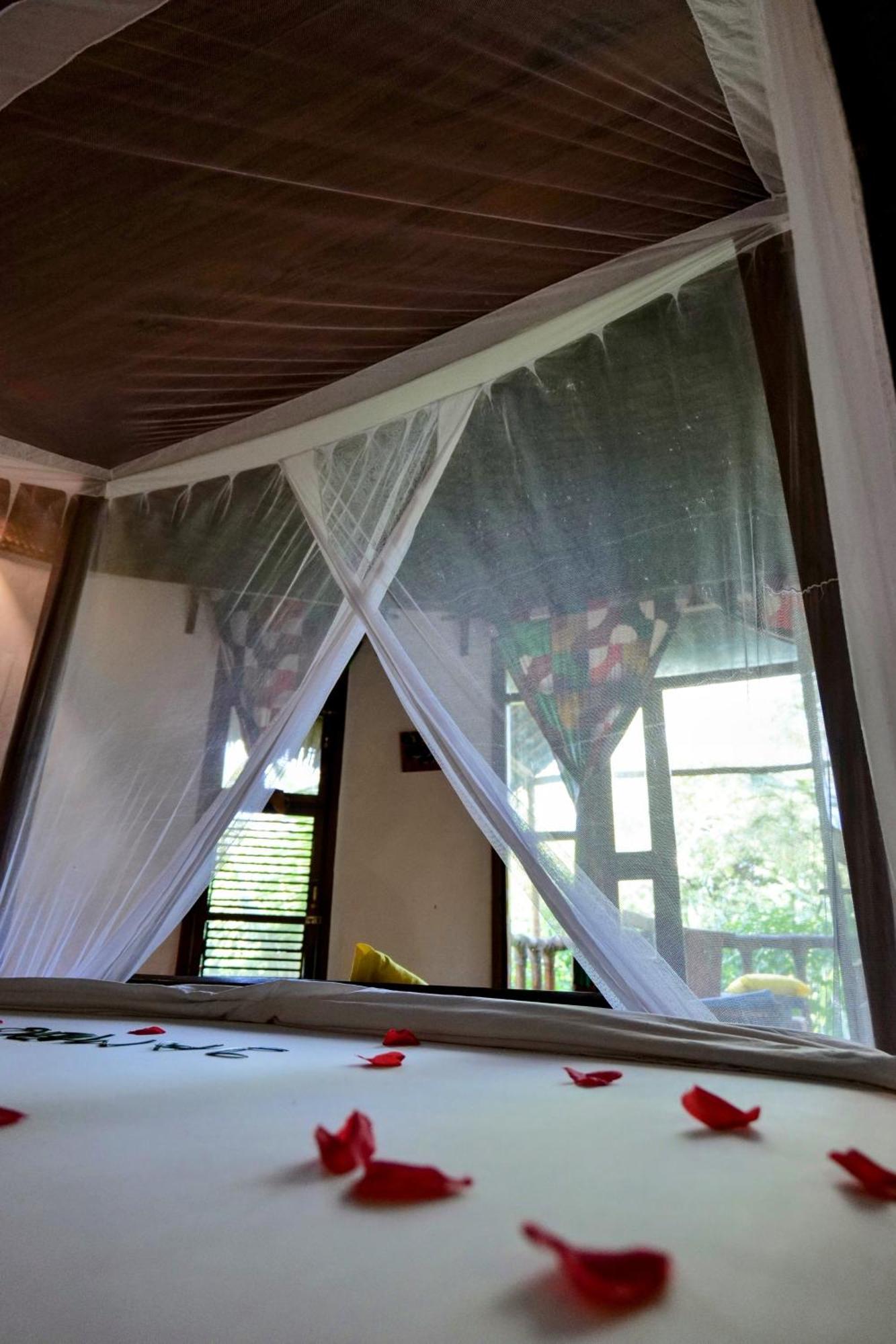 Lala Land Lodge Kizimkazi Exteriér fotografie
